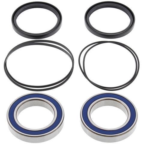 251320 — WHEEL BEARING ALL BALLS